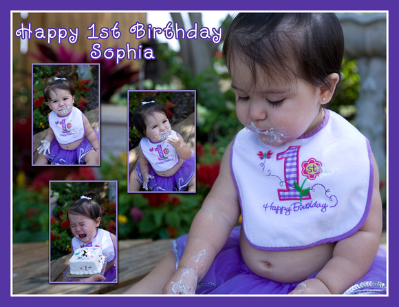 Sophias 1 bday Collage 10x13.jpg